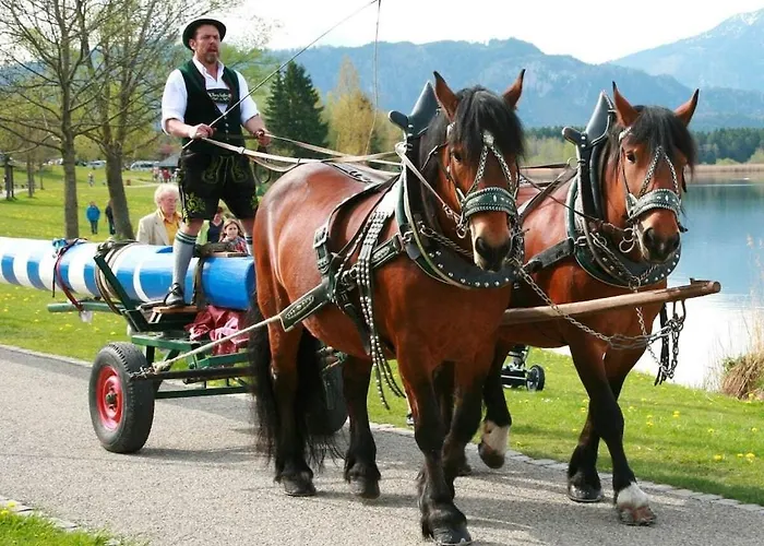 بيت للعطل At The Seehotel Hartung هوبفن ام سي